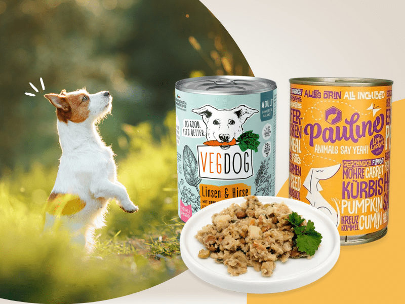 Banner for Landing Page veganes Nassfutter